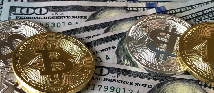 El curs tindrà lloc a principis de l'any que ve.